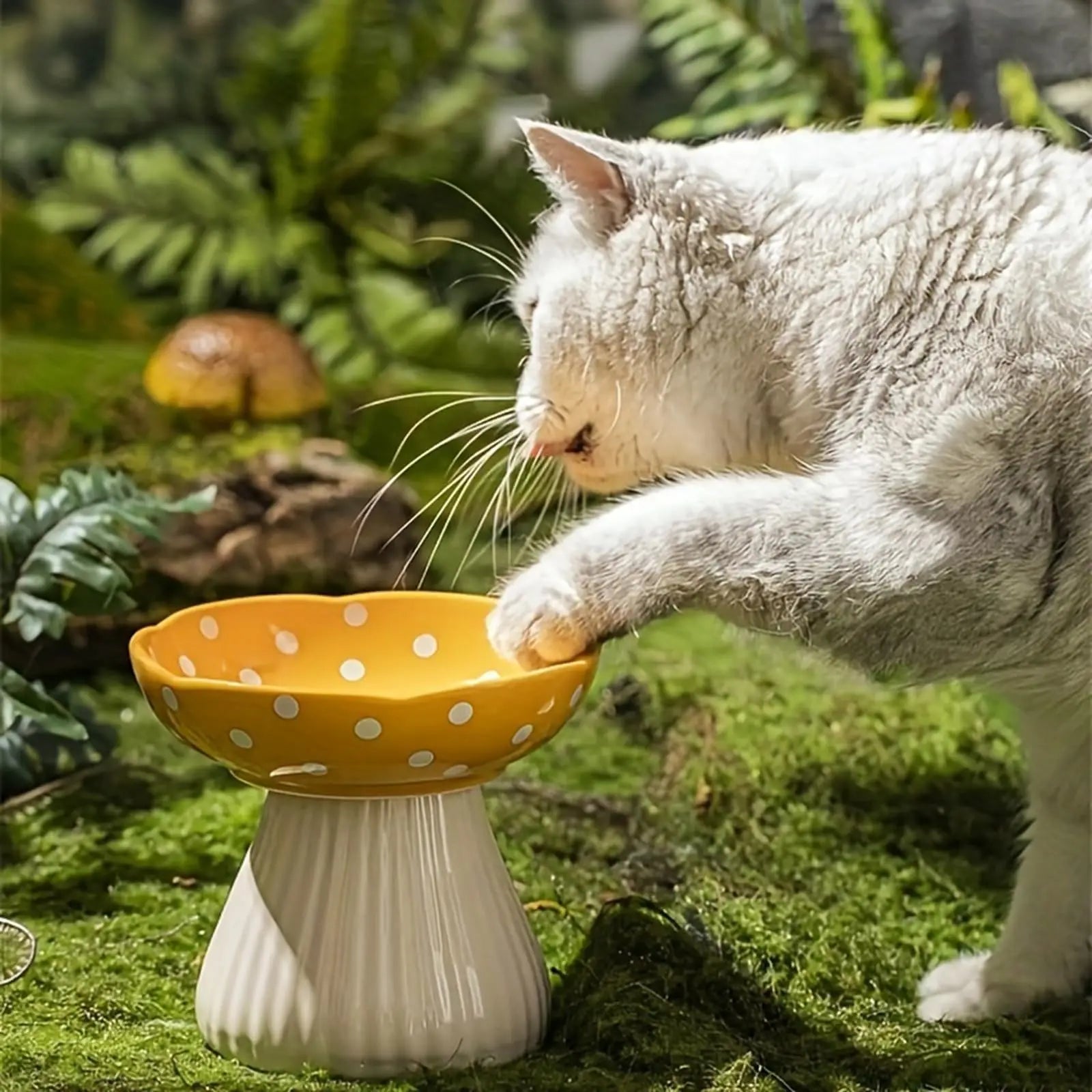ShroomBowl - Elevated Ceramic Cat Dish