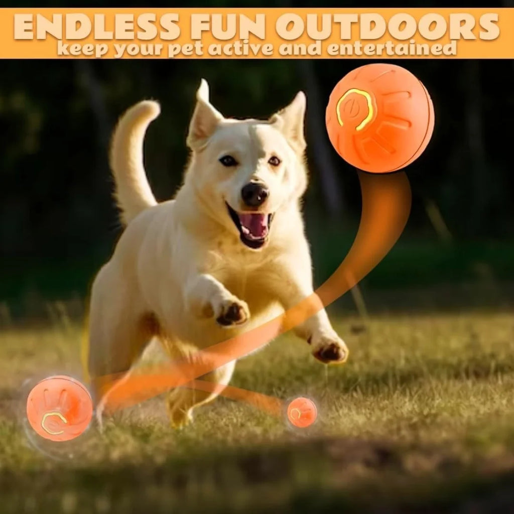SmartRoll - Gravity Electric Pet Ball