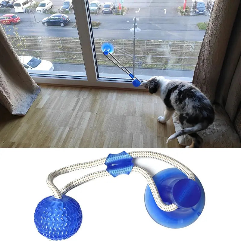 TugForce- Suction Cup Interactive Toy
