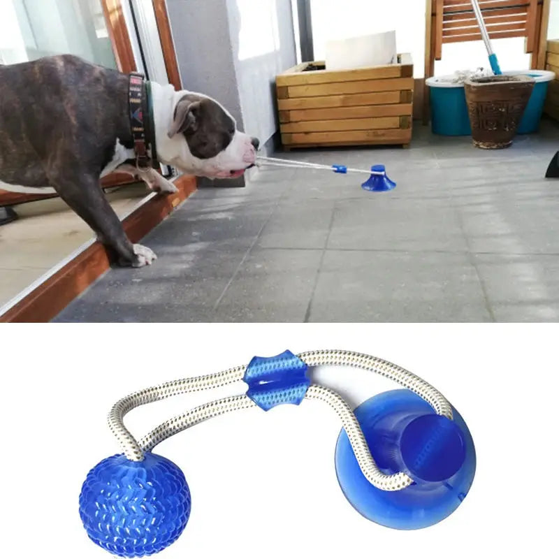 TugForce- Suction Cup Interactive Toy