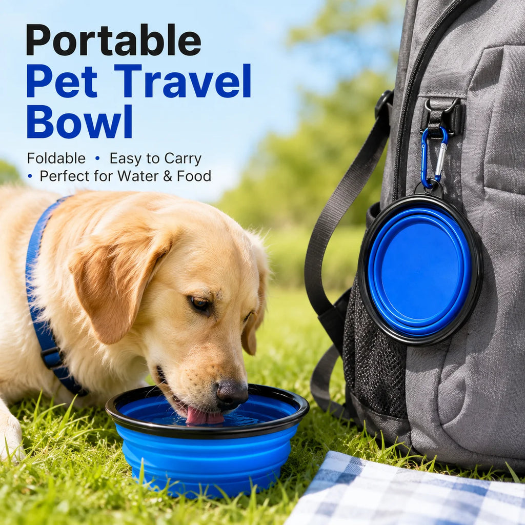 SnapBowl - Collapsible Travel Pet Bowl
