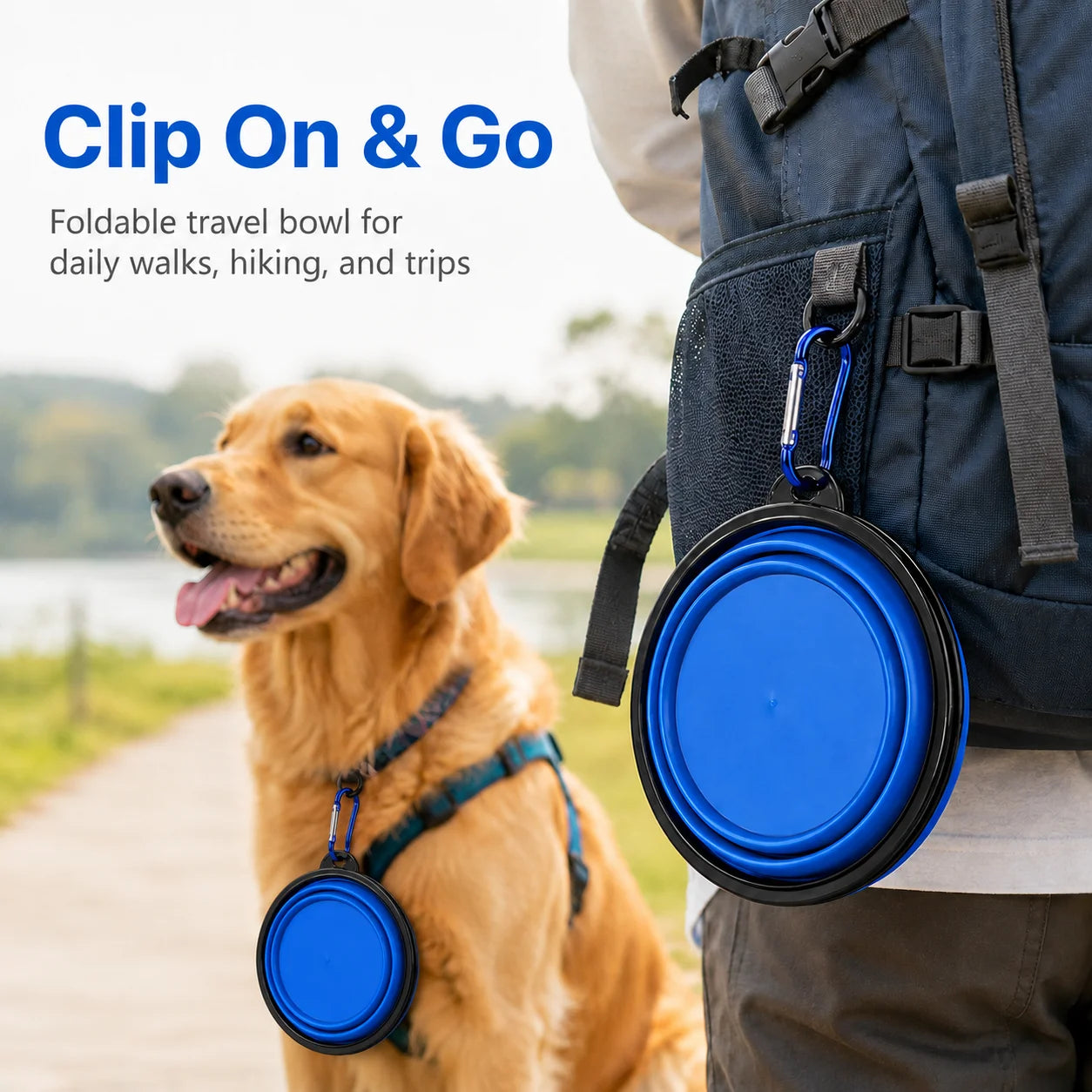 SnapBowl - Collapsible Travel Pet Bowl