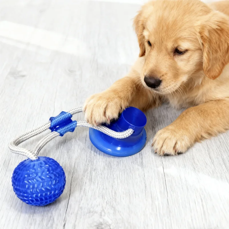 TugForce- Suction Cup Interactive Toy