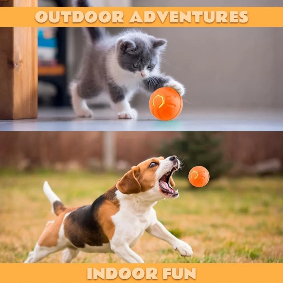 SmartRoll - Gravity Electric Pet Ball