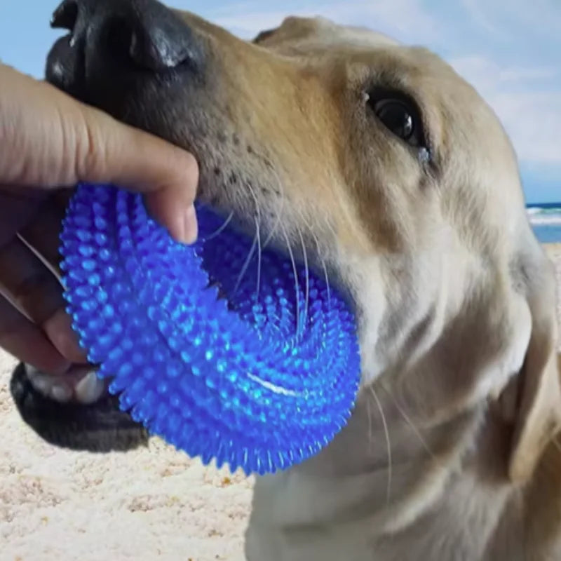 SqueakyBite - Interactive Chew Toy