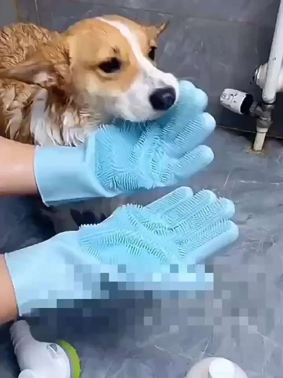 GroomGloove - Magic Pet Bathing & Massage Glove
