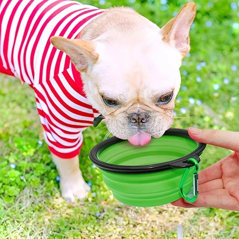 SnapBowl - Collapsible Travel Pet Bowl