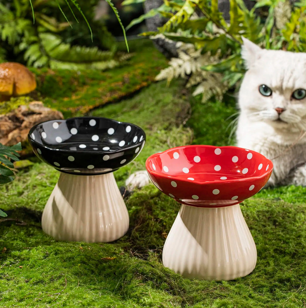 ShroomBowl - Elevated Ceramic Cat Dish