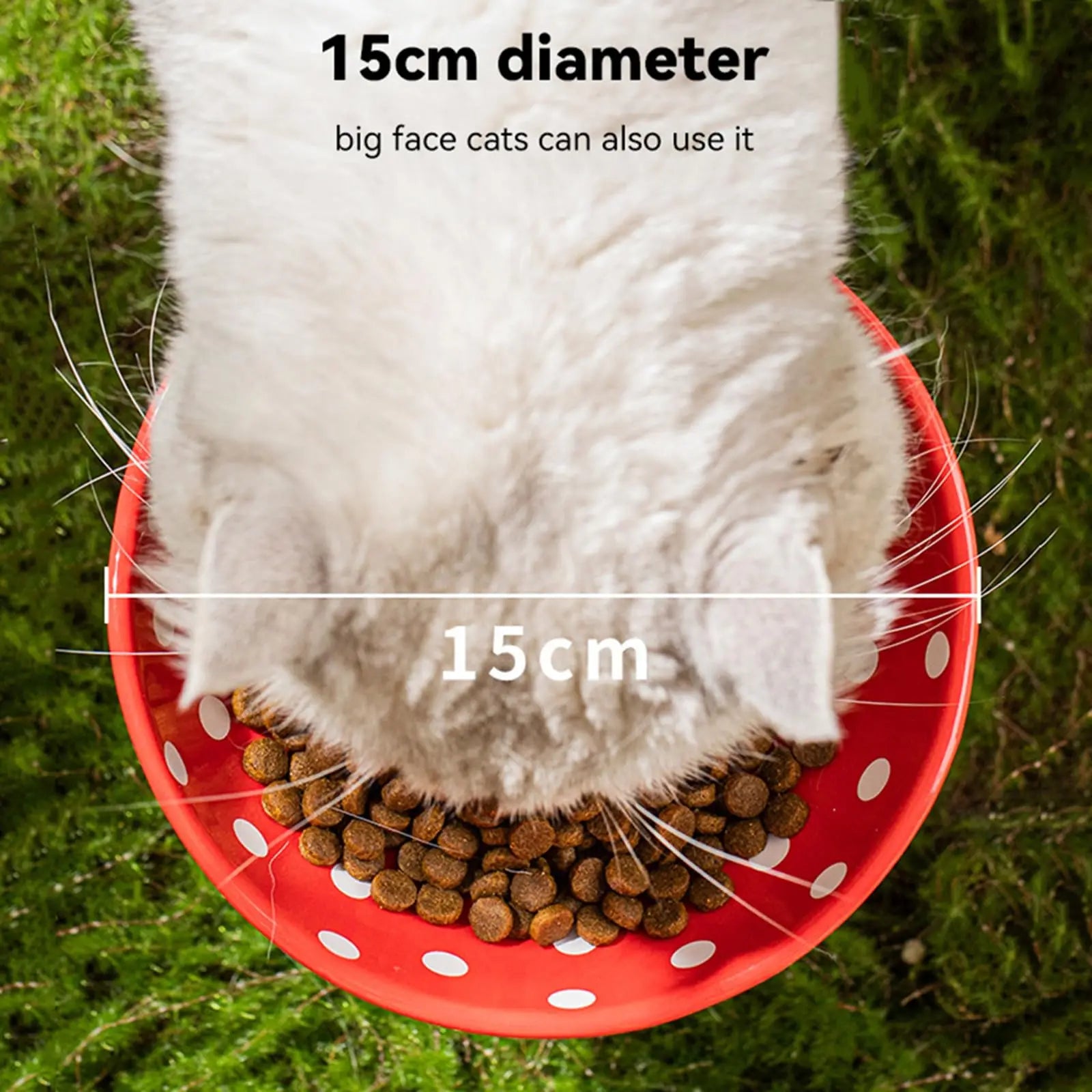 ShroomBowl - Elevated Ceramic Cat Dish