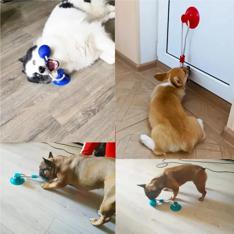 TugForce- Suction Cup Interactive Toy