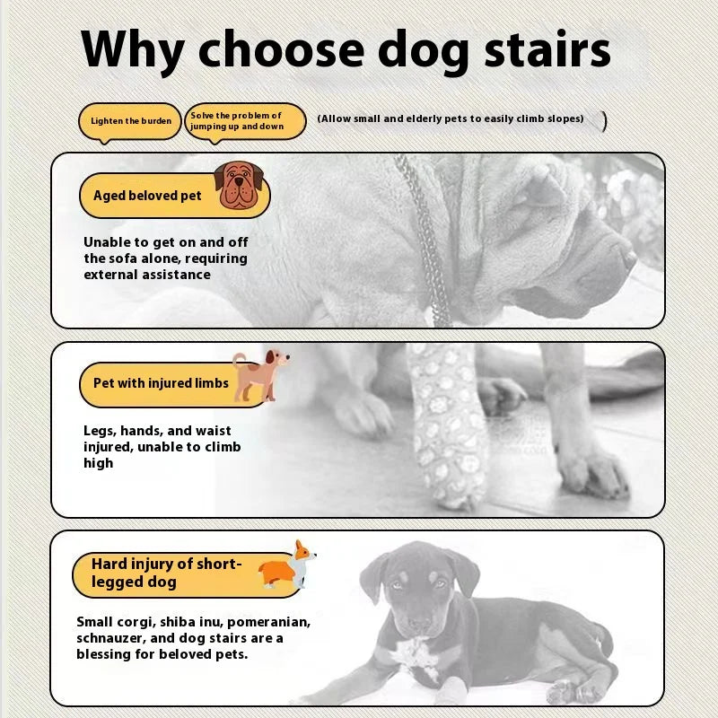 CozySteps - Foam Pet Stairs & Ramp