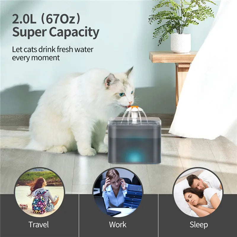 GlowFlow LED Pet Fountain