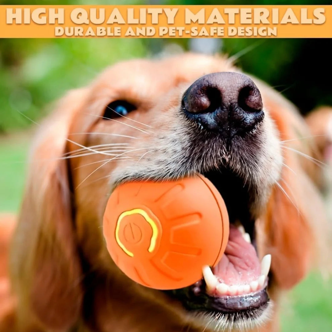 SmartRoll - Gravity Electric Pet Ball
