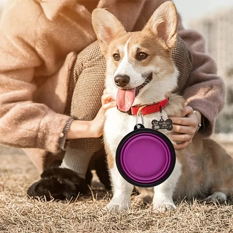 SnapBowl - Collapsible Travel Pet Bowl