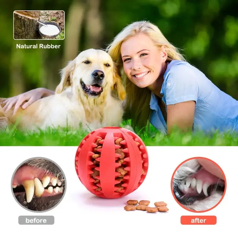 SmartBounce - Rubber Interactive  Chew Ball