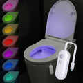 Smart  Motion Toilet Light